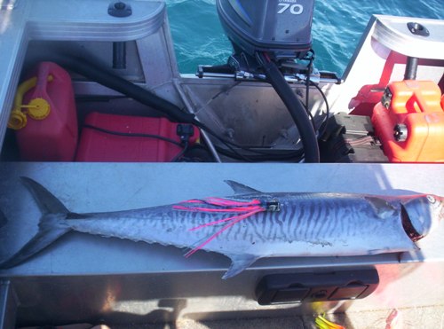 SKIRTS NEED WIRE SKIRTS NEED WIRE